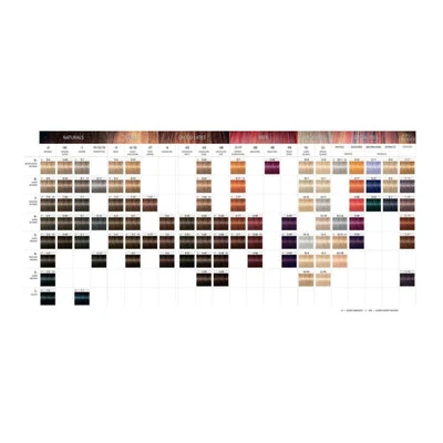 LA ELECCIÓN DEL COLORISTA PARA LA COLORACIÓN PERMANENTE - Image 2